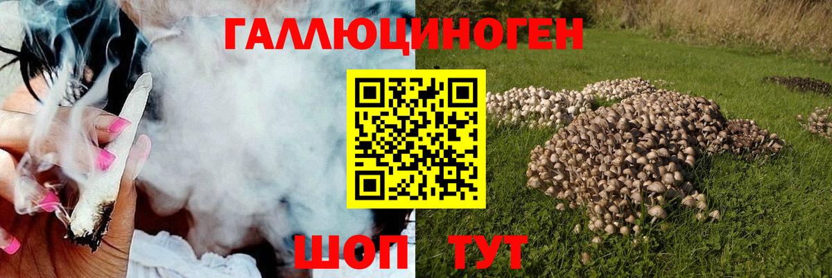 Псилоцибиновые грибы Magic Shrooms Мариинск