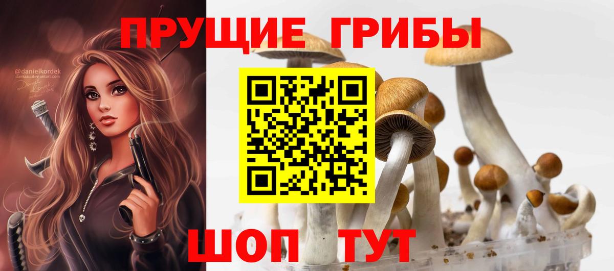 Мариинск  Галлюциногенные грибы MAGIC MUSHROOMS  Вход с VPN 